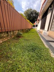 Jansen 8 (D19), Terrace #500728551